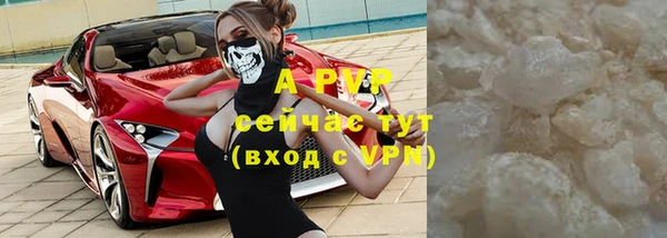 трава Новодвинск