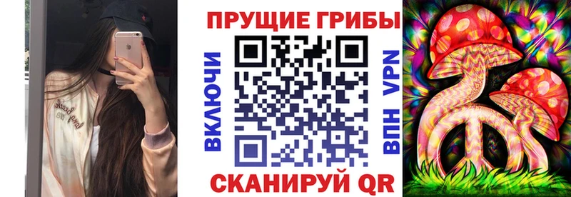 Галлюциногенные грибы ЛСД  где купить наркоту  Новая Ладога 